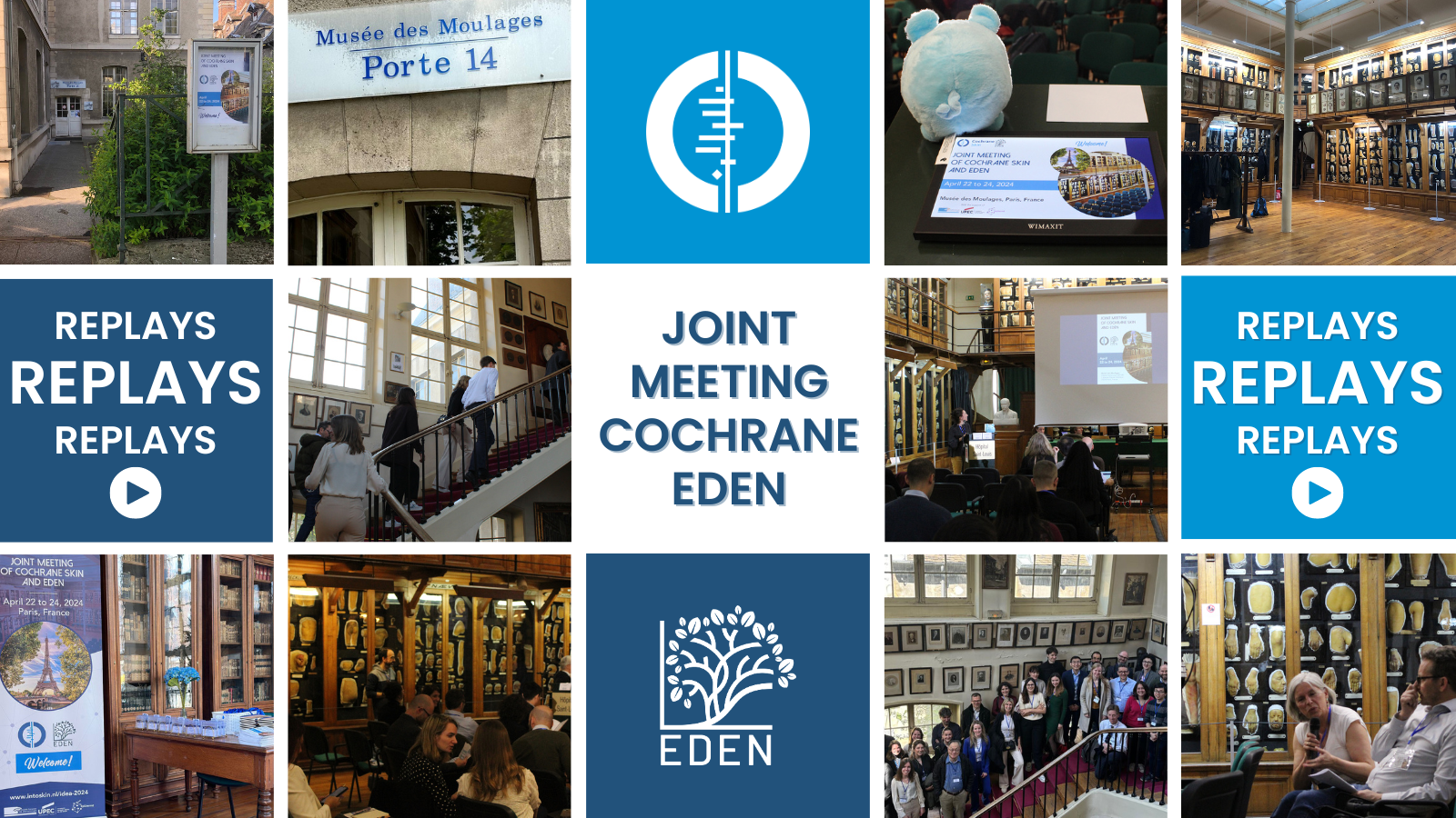 Replays Joint meeting of Cochrane Skin and EDEN